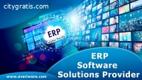 Leading ERP Software Solution