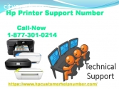 Look for our assistance at Hp Printer