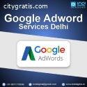 Looking google adword services in delhi?