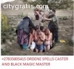 Lost love spells caster / psychic Drdene