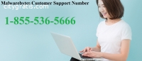 Malwarebytes Antivirus Support Number 1*