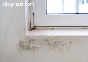 Mold Testing and mold mitigation service