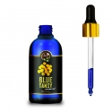 Moroccan blue tansy essential oil com