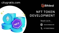 NFT Development Company