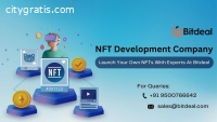 NFT Development Company