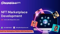 NFT Marketplace Development Solutions