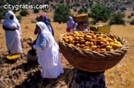 Organic Virgin And Tosted Argan Oil Fact