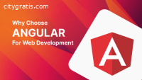 Outsource AngularJs Development