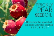 Prickly Pear Seed Oil Anti Aging