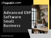 Professional ERP Software Providers for