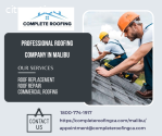 Professional Roofers Provide all Roofing