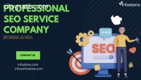 Professional SEO Service Company In Indi