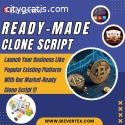 Readymade Clone Scripts at Low Cost