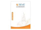 REVE Internet Security Software