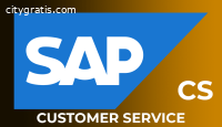 SAP CS Online Training In India