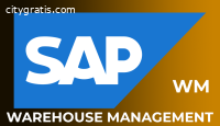 SAP WM Online Training In India