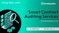 Smart Contract Auditing