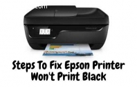 Steps To Fix Epson Printer Won't Print B