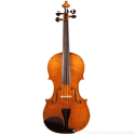 Stringed Musical Instruments for Sale