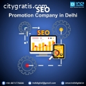 seo promotion company in delhi