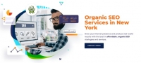 Top Organic SEO Services in NYC