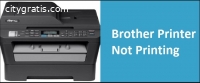 Troubleshoot Brother Printer Not Printin