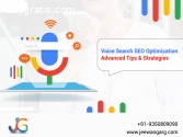 Voice Search SEO Optimization