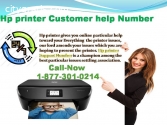 Want Setup Hp printer Customer help numb