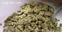 wholesale cbd hemp flowers