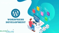 WordPress Development India- Silicon Val