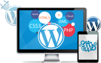 WordPress Development Services